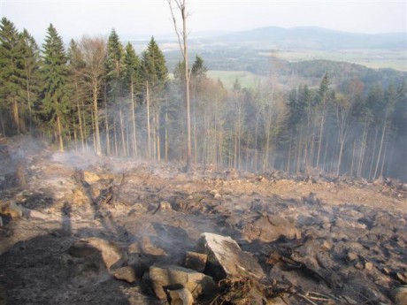 20090414-požár lesa Vysoký Kámen_06 (Small).JPG