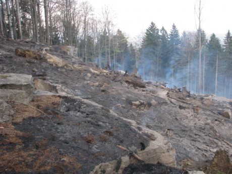 20090414-požár lesa Vysoký Kámen_12 (Small).JPG