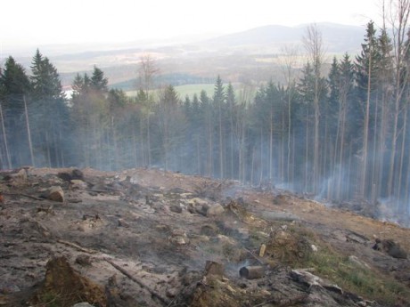20090414-požár lesa Vysoký Kámen_13 (Small).JPG
