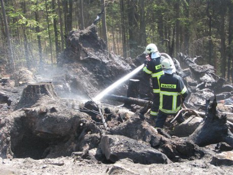 20090415-požár lesa Vysoký Kámen_58 (Small).JPG